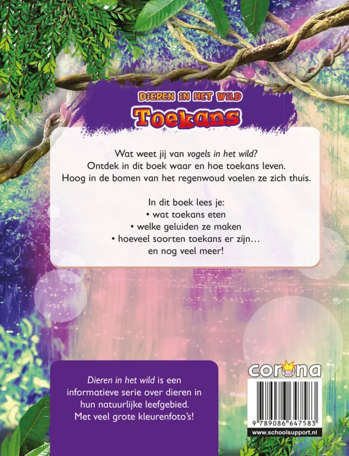 Toekans - Afbeelding 2