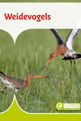 Weidevogels
