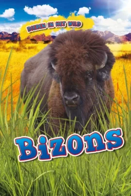 Bizons