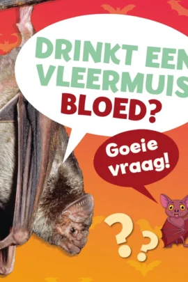 Drinkt een vleermuis bloed?