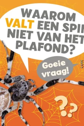 Waarom valt een spin niet van het plafond?