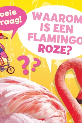 Waarom is een flamingo roze?