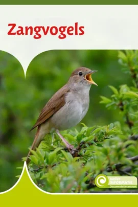 Zangvogels