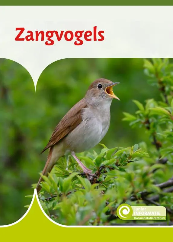 Rapunsel kinderboeken |