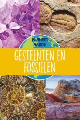 Gesteenten en fossielen