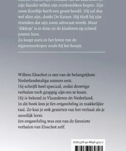 Een ontgoocheling | 9789086964727