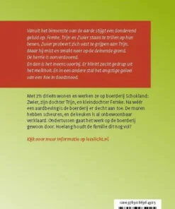 Alternative view of Schokland