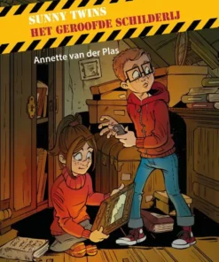 Het geroofde schilderij