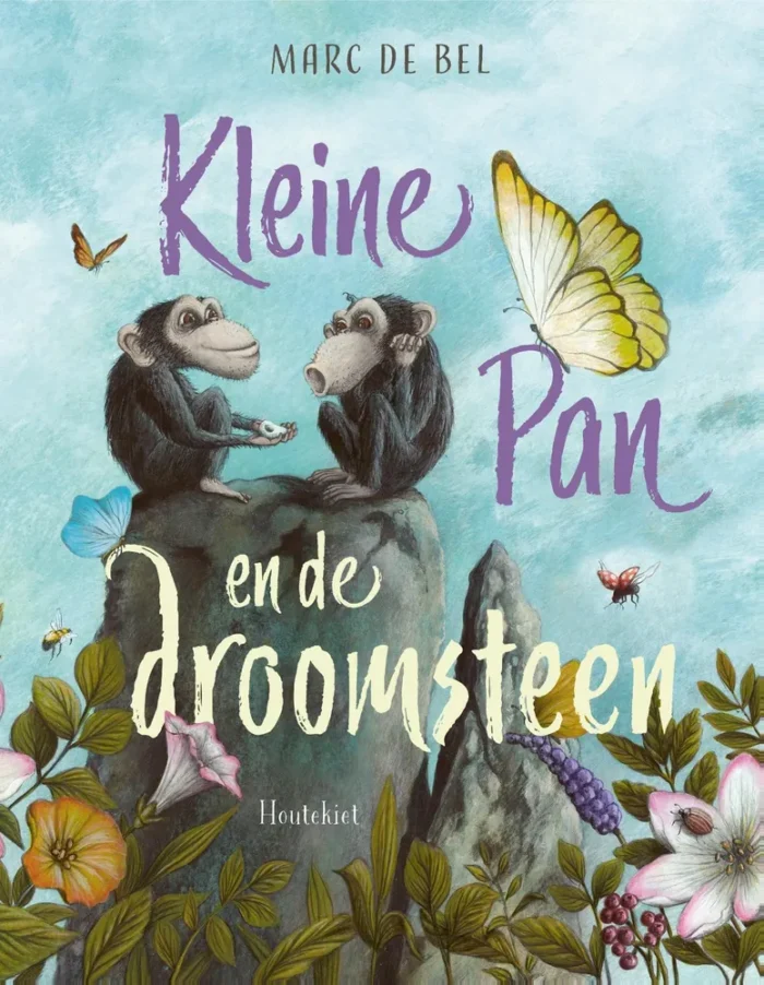 Kleine Pan en de droomsteen