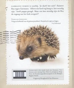 Alternative view of Garmanns straat