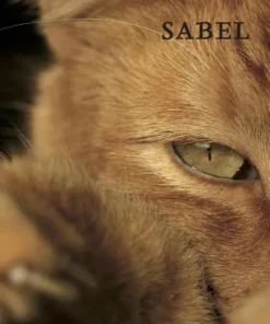 Sabel