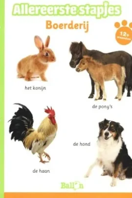 Boerderij