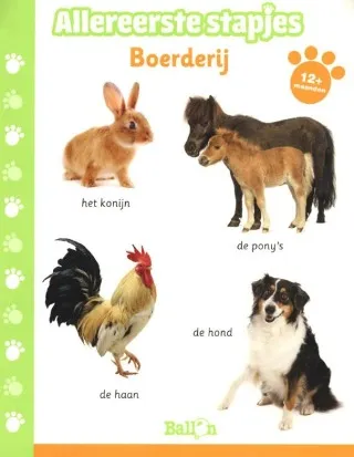 Rapunsel kinderboeken |