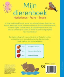 Alternative view of Nederlands, Frans, Engels