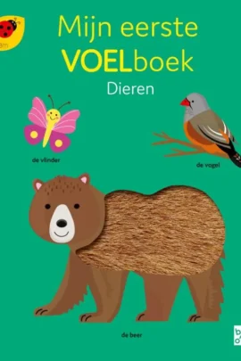 Mijn eerste voelboek