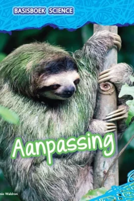 Aanpassing