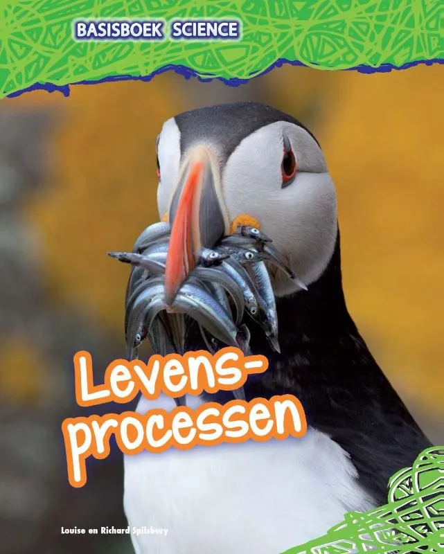 Rapunsel kinderboeken |