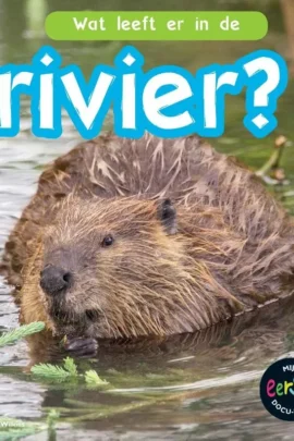 Wat leeft er in de rivier?