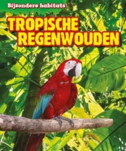 Tropische regenwouden