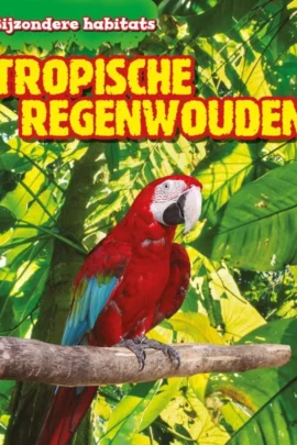 Tropische regenwouden