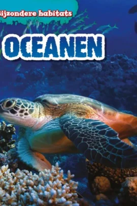 Oceanen
