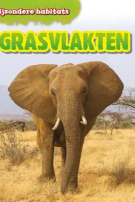 Grasvlakten