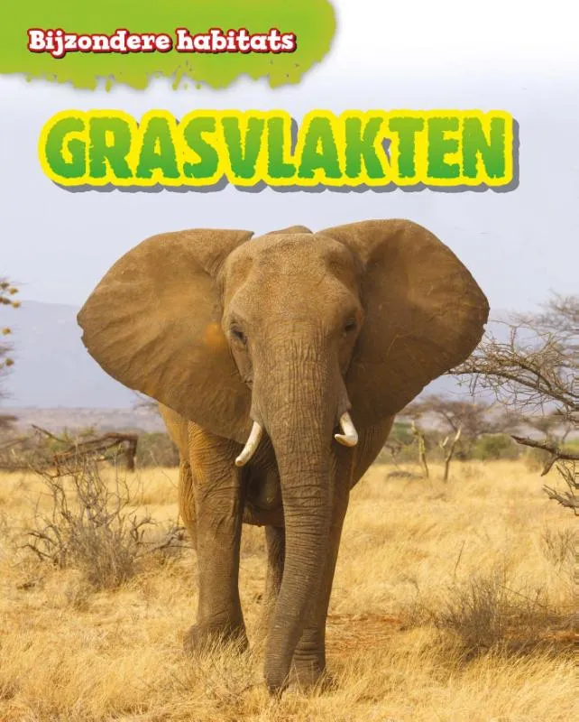 Rapunsel kinderboeken |