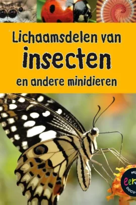 Lichaamsdelen van insecten