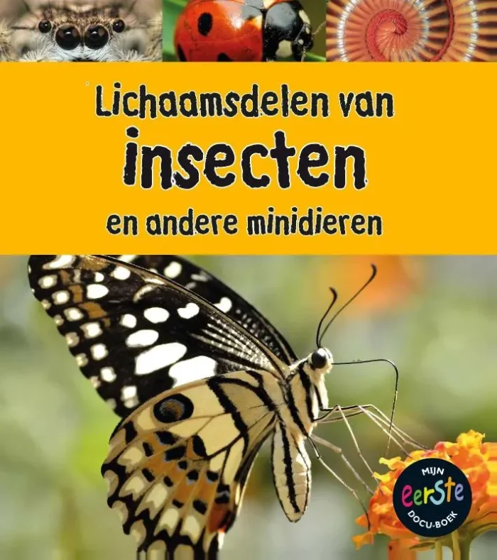 Rapunsel kinderboeken |