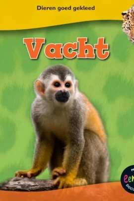 Vacht