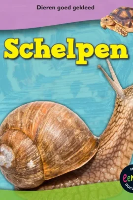 Schelpen