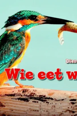 Wie eet wat?