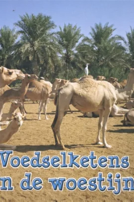 Voedselketens in de woestijn