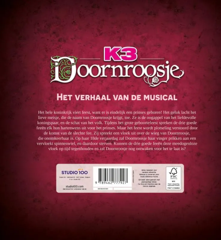 Doornroosje - Het verhaal van de musical | 9789462777927 Doornroosje - Het verhaal van de musical - Afbeelding 2