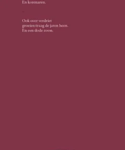 Alternative view of En na de oorlog