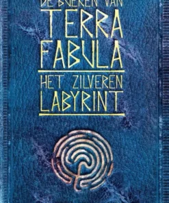 Het zilveren labyrint