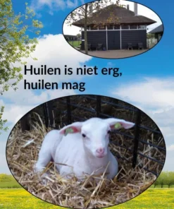 Huilen is niet erg, huilen mag