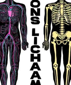 Alternative view of Ons lichaam