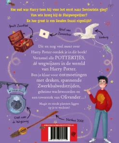 Harry Potter - Afbeelding 2
