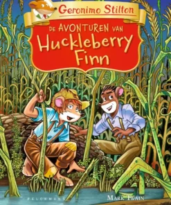 De avonturen van Huckleberry Finn