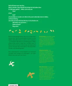 Alternative view of Hout