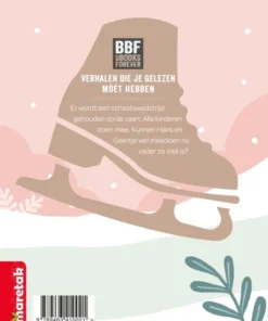 Alternative view of De zilveren schaatsen