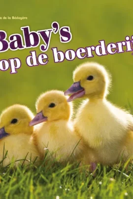 Baby's op de boerderij