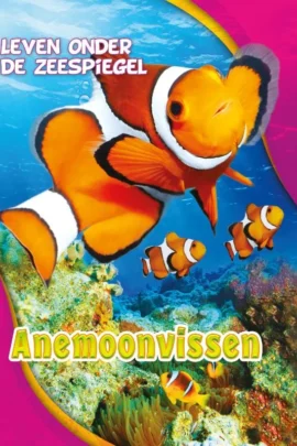 Anemoonvissen