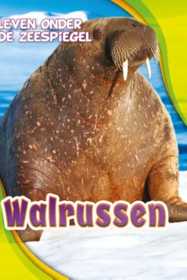 Walrussen