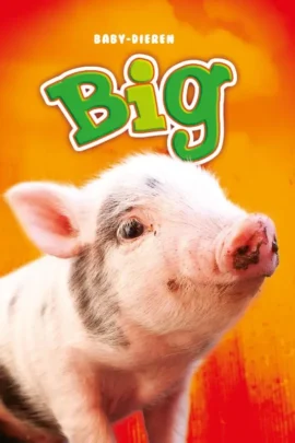 Big