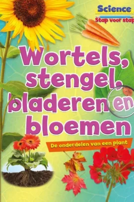 Wortels, stengels, bladeren en bloemen