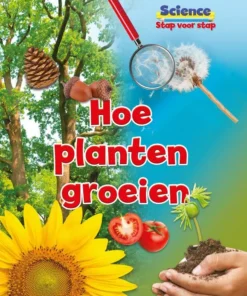 Hoe planten groeien
