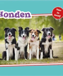 Honden