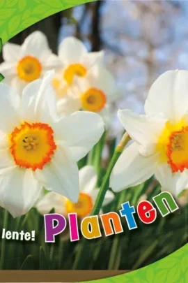 Planten